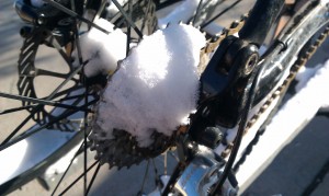 Brrrr!!!  This is Spring in Gallup?