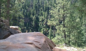 Near Clear Creek